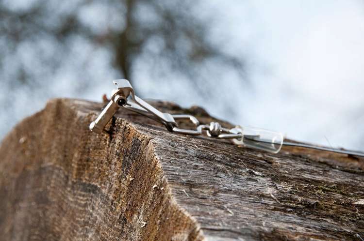 Tasma-miernicza-do-prac-lesnych-20m-Spencer