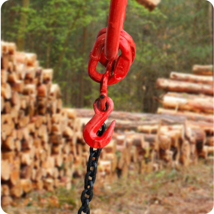 hak-skracajacy-z-uchem-g-80-10-mm