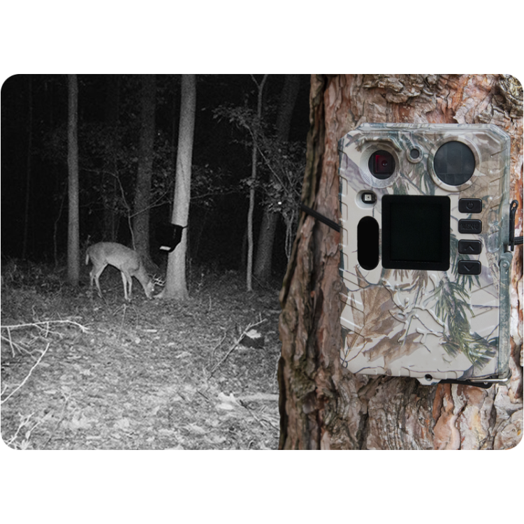 fotopułapka - kamera-CBG31