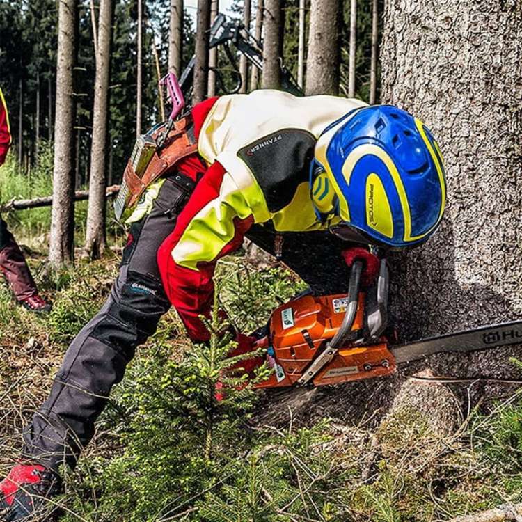 kask-ochronny-pilarza-drwala-protos-integral-forest-niebiesko-zolty