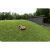 husqvarna-automower-535-awd-epos-18.png