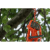 pilarka-husqvarna-5.png