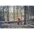 pilarka-husqvarna-562-XP-Mark-II (7).png