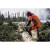pilarka-husqvarna-565 (7).png