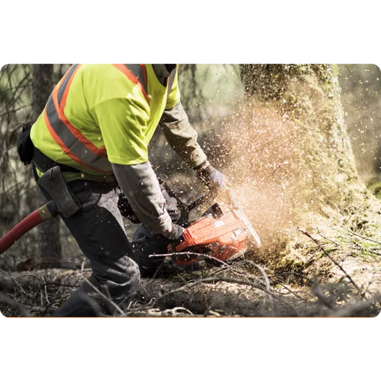 pilarka-husqvarna-565 (8).png
