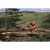 pilarka-husqvarna-565 (13).png
