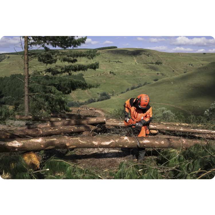 pilarka-husqvarna-565 (13).png