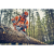 pilarka-husqvarna-562-XP-G-Mark-II   (10).png