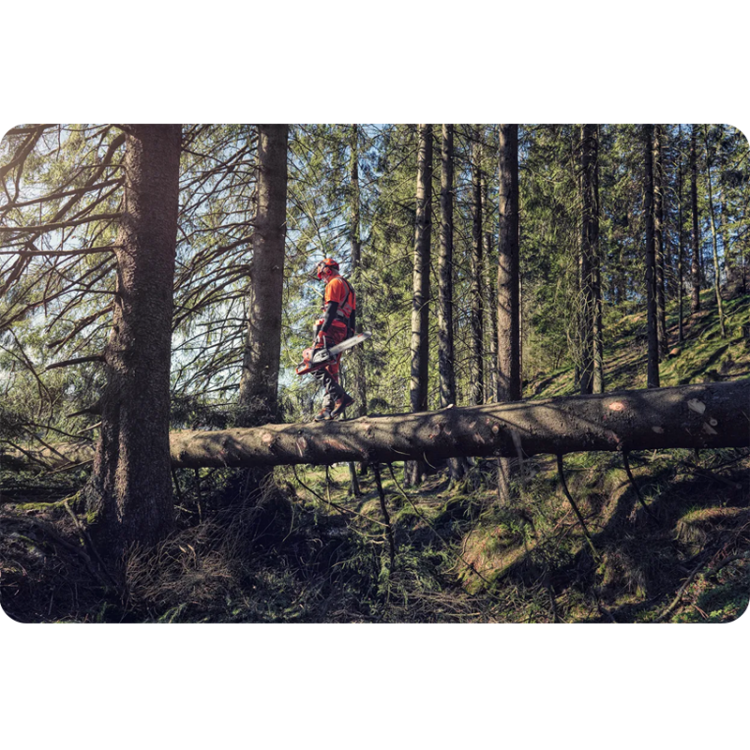 pilarka-husqvarna-572-XP-G (18).png