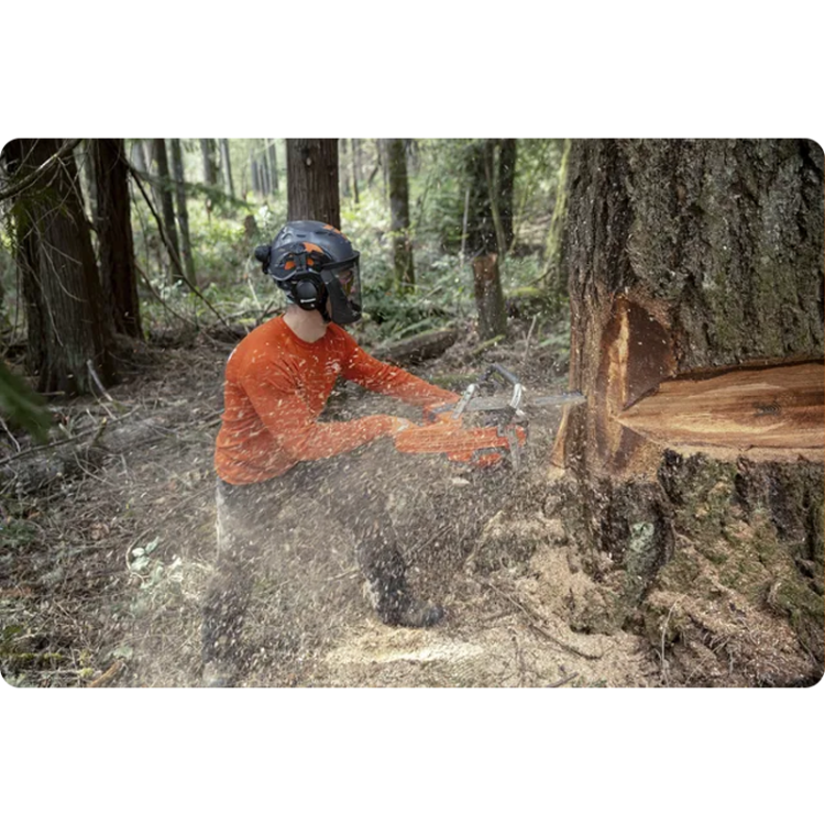 pilarka-husqvarna-585 (13).png