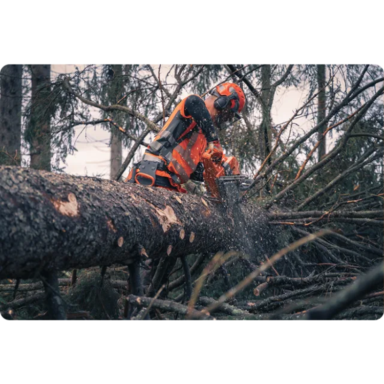 pilarka-husqvarna-585 (15).png