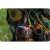 pilarka-husqvana-T542i-XP (4).png