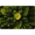 pilarka-husqvarna-435i (5).png
