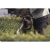 nożyce-do-żywopłotu-husqvarna-522ihdr60-13.png