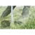 wykaszarka-husqvarna-545RXT-AutoTune-3.png