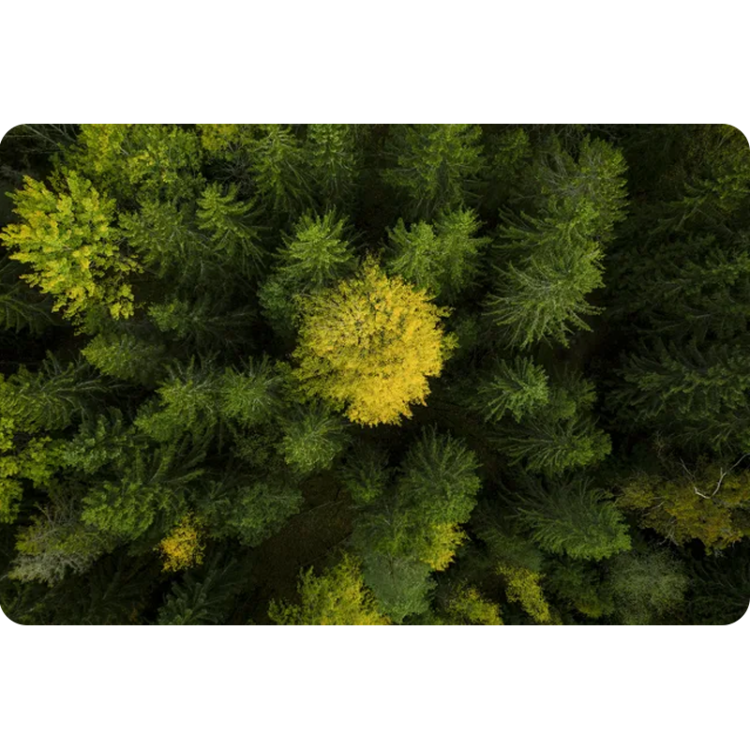 dmuchawa-husqvarna-230ib (3).png
