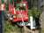 procesor-lesny-hypro-300-intertel-group-1.jpg